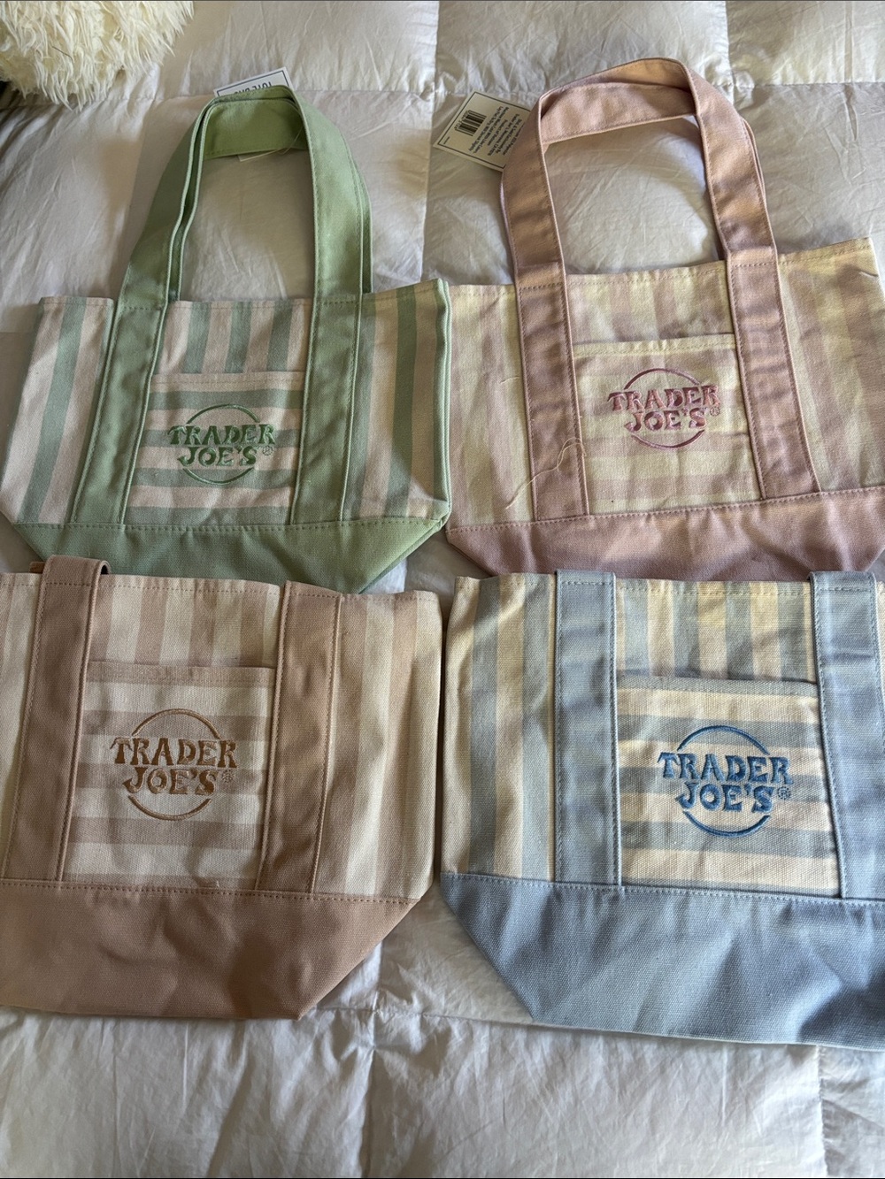 Trader Joe's Pastel Stripe Canvas Tote in Green, Pink, Tan, and Blue